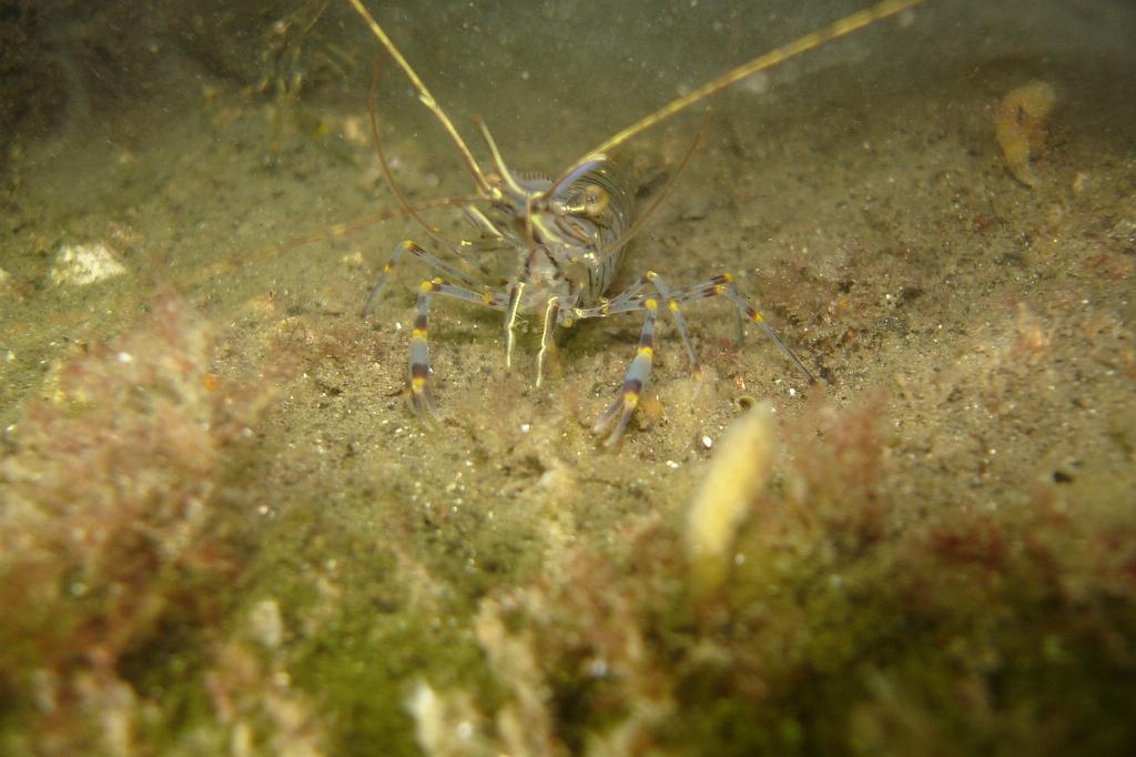 2008-08-31 11-21-32.JPG